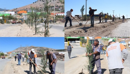 Kozan Belediyesinden Organize Sanayi Bölgesine ağaç dikimi