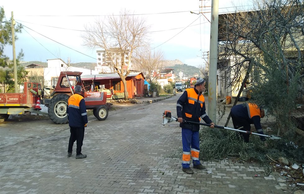 Kozan’da 2752 Sokakta Ağaçlar Budandı