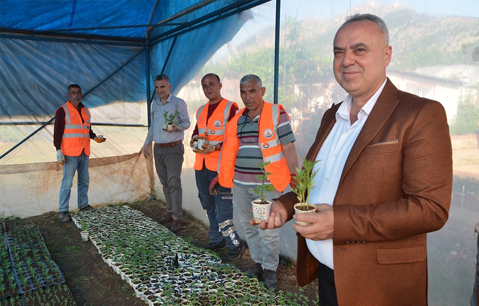 Atık Karton Bardaklarda Çiçek Üretiliyor