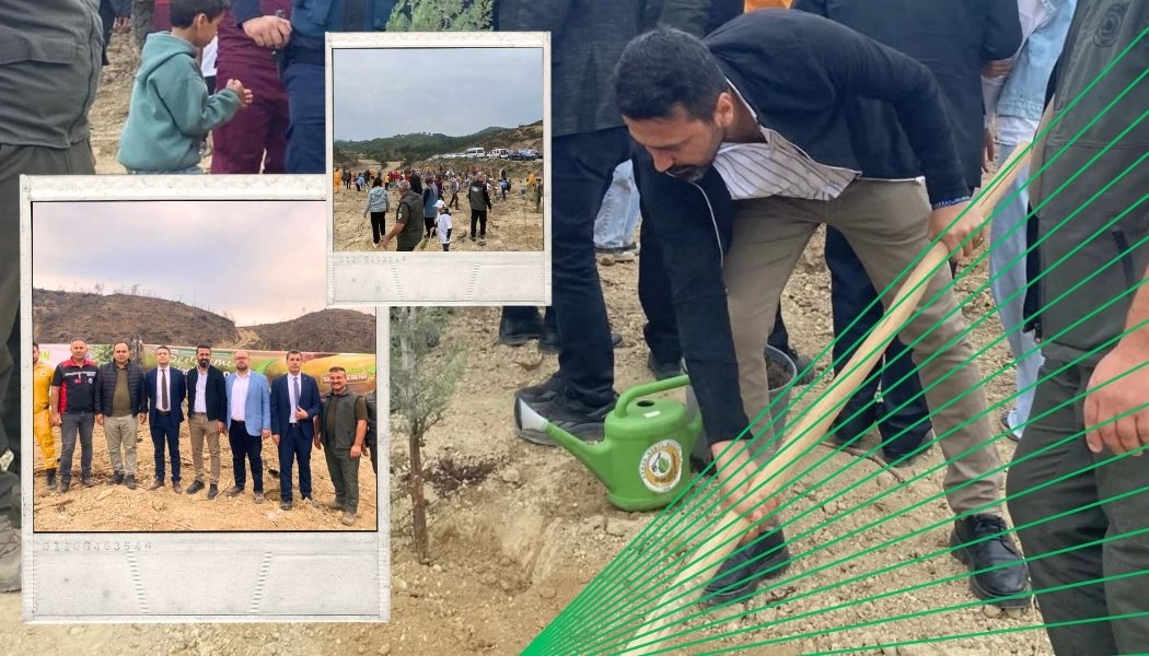 FİDANLARIMIZI TOPRAKLA BULUŞTURDUK